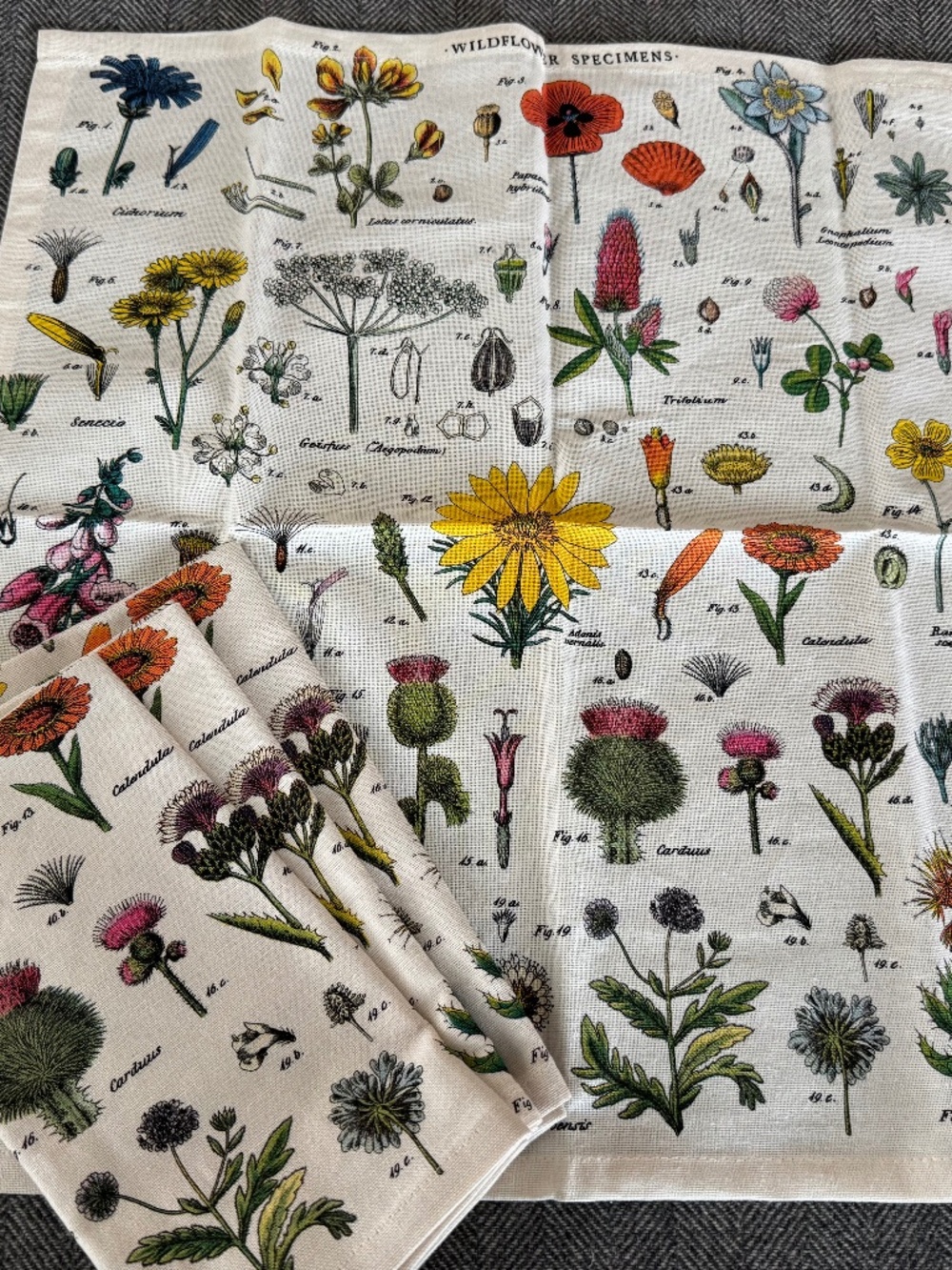 NWT, CAVALLINI & CO., CLOTH NAPKIN SET OF 4 - WILDFLOWER PATTERN